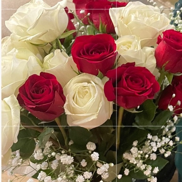 Meet your Posher, Net - Picture 1 of 1